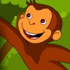play Monkey Hidden