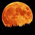 play Moon Type