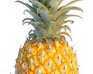 play Pineapple!