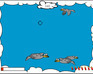 play Bird Shooting