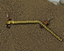 play Snake 3000