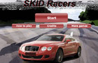 play Skid Racers