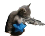 play Amazing Cat