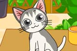 Cute Hungry Cat