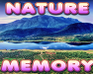 play Brain Memory : Nature