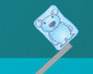 play Ice Cube Bear Xp