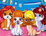 play Pet Hairstyle Design