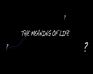 play The Meaning Of Life