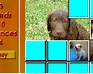play Fuzzy Memory - Puppies