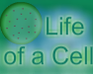 play Life Of A Cell