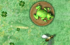 play Froggy V1.0