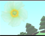 play Flowers Rain