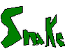 play Snake Test