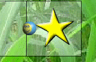 play Fly Ball V2.0