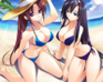 play Beach Girls 2