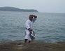 play Master Of Karate