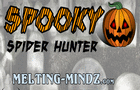 play Spooky Spider Hunter
