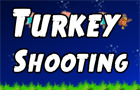 Turkey Shooting