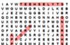 play Word Search: Internet