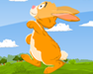 play Hopi