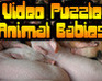 play Video Puzzle: Animal Babies
