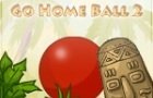 play Go Home Ball 2