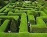 play The Maze Game!