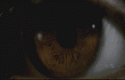 play The Horrific Quiz 2
