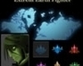 play Extreme Earth Fighter