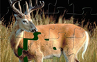 play Velvet Whitetail Buck