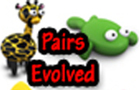 play Pairs Evolved Time Attack