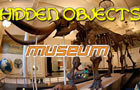 Hidden Objects-Museum