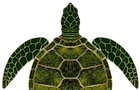 play The Great Turtle Escape!