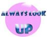 play Up
