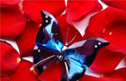 Butterfly Jigsaw