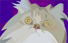 play Magical Cat