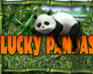 play Lucky Pandas