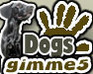 play Gimme5 - Dogs