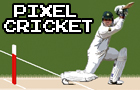 play Pixel Cricket Multiplayer