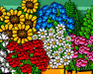 play Flower Shopkeeper