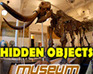 play Hidden Objects-Museum