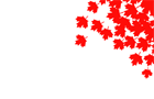 play Canada Site Interface