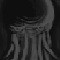 play The Outsider