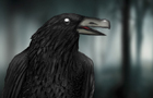 play Dark Disharmony