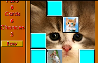 play Fuzzy Memory: Kittens