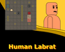 play Human Labrat