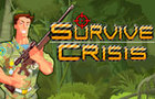 play Survive Crisis