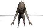 play Pn Interactive 3D Model