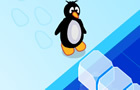 play Penguin Pass