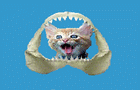 play Cat Crunch